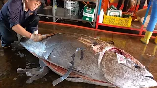 Fluency and Detailed Cutting 400kg Bluefin Tuna