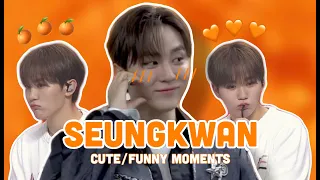 seungkwan being his usual loveable self | cute & funny moments