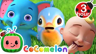 Itsy Bitsy Spider (Birdie) +| More Cocomelon - Nursery Rhymes | Fun Cartoons For Kids | Moonbug Kids