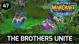 Warcraft 3 Story ► Malfurion is mad at Maiev and Frees Illidan