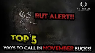 Top 5 Ways to Call in NOVEMBER BUCKS!!