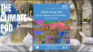 2022 IPCC Report Explained: Impacts, Adaptation, and Vulnerability