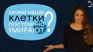 Зачем наши клетки постоянно умирают?