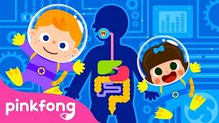 Digestão | Canções do Corpo Humano | Pinkfong Canções para Crianças