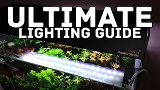 Aquarium Lighting 101: Choosing the Right Light for Your Planted Tank