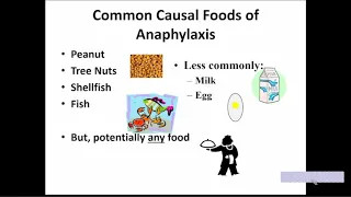 Food Allergy: Current Diagnosis, Treatment and Prevention