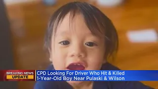 15-month-old boy hit, killed by pickup truck in Albany Park