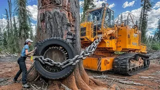 250 Heavy Machinery:  Incredible Fastest Big Chainsaw Machines For Cutting Trees ▶Mach Tech