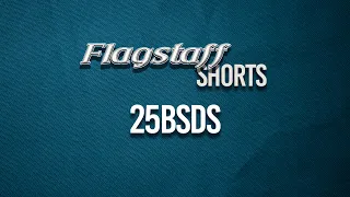 All NEW 2021 Flagstaff Micro Lite 25BSDS! #Shorts