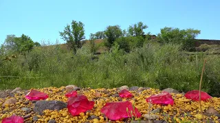 I Was Looking For Gold, And Found More Sapphires