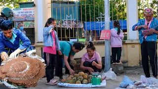 With Daughter Harvest Pineapple Bring To Market To Sell, Catch Giant Bees To Sell For Money | Family