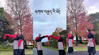 New Tibetan gorshey༼ རྟགས་བརྒྱད་རི་མོ།༽#tibetancircledance #gorshey 2024