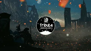 Tribute - Lorenzo Ballerini DJ | Nhạc gây nghiện trên Tiktok | Douyin Music