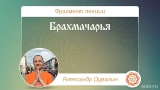 Брахмачарья. Александр Дувалин