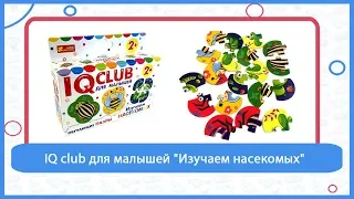 IQ club для малышей "Изучаем насекомых"