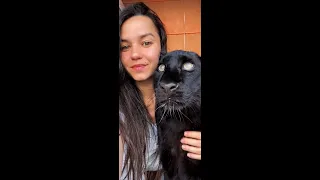 🐆 Funny and cute moments from the life of Panther Luna and Rottweiler Venza💗🐕