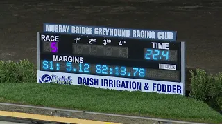 Murray-Bridge-07042024-Race-5