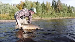 Väylä - Kalaukko Fly Fishing