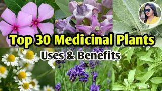 30 Medicinal Plants And Their Uses | Ayurvedic Plants Names | Medicinal Herbs | Lipsha world