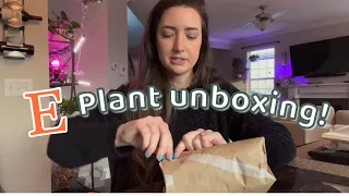 Plant unboxing 2021 | ETSY plant mail | JoyOfPlants shop | Silver band maranta pant