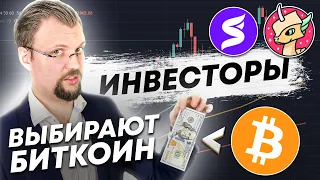 БИТКОИН КОРРЕКЦИЯ ЗАКОНЧЕНА? Superfarm запускает платформу! POLKAMON как получить яйцо дракона?