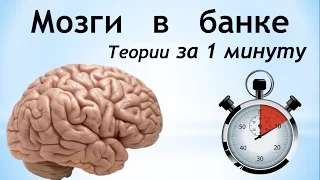 Мозги в банке - эволюция сверхчеловека | Теории за 1 минуту | BrainTime