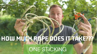 ONE STICK CLIMBING  - Just how much ROPE do you REALLY NEED?