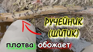 ГДЕ и КАК набрать РУЧЕЙНИКА (ШИТИКА)? 🐛 ЛУЧШАЯ НАЖИВКА на РЕЧНУЮ ПЛОТВУ 🐟