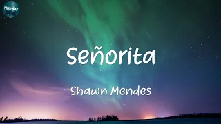 Shawn Mendes - Señorita (Lyrics)