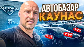 Обзор цен, автоплощадка Daimonda auto