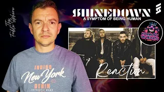 THIS IS GREAT!! Shinedown - A Symptom Of Being Human (Reaction) (HOH Series)