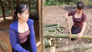Rebuilding the house with bamboo, the girl bought the house from the lonely boy