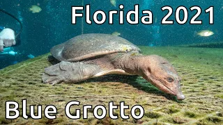 Blue Grotto - Florida 2021