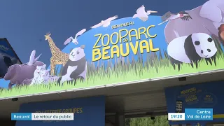 Zoo de Beauval : réouverture après le confinement