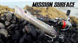 MISSION PECHE DU BAR EN SURFACE (grosse surprise) / PARTIE 1