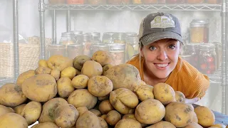 How I Store 200 lbs of Potatoes WITHOUT a Root Cellar