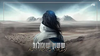 ששון איפרם שאולוב – נתראה בגלגול הבא – קאבר (Prod by Mor Ben Yair)