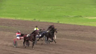 06 ПЕРВОМАЙСКИЙ ПРИЗ 23.05.21. Жер. старшего возраста.1600 м. Воронежский ипподром