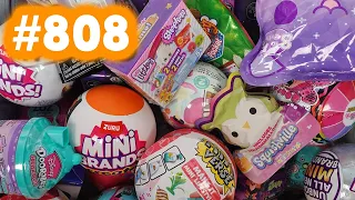 Random Blind Bag Box #808 - Stitch Feed Me, Living on the Veg, Squooshems, Squishmallow Mystery