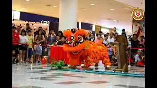 [Giải Lân Địa Bửu Sc Vivo City 2018] Chiêu Nghĩa Đường [liondance championship Sc vivocity]