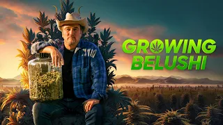 GROWING BELUSHI 'A Mission from God' E02 (HD)