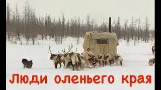 Люди оленьего края. Кочевые народы Севера. Таймыр. Реальные съемки / People of the deer land