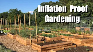 These crops can save you THOUSANDS on groceries - INFLATION PROOF Gardening - SURVIVAL CROPS!