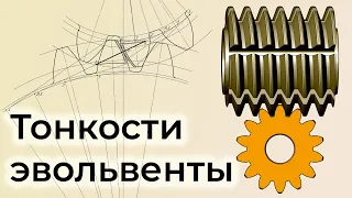 Tooth involute profiles (gears) in KOMPAS-3D