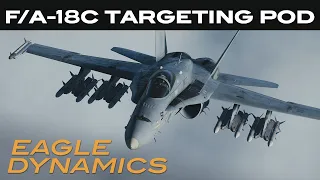 DCS: F/A-18C Hornet - Targeting Pod Update for 17 March 2020