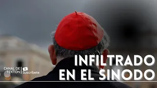 ALERTA Infiltrados en el Sinodo de la Sinodalidad para destruir la Iglesia Católica desde dentro