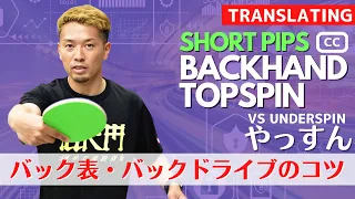 [Short-Pips] Learn Backhand Topspin against BackSpin [Table Tennis]