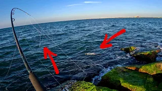 FRUSTRATING day at the Jetty! (Port Aransas, Tx)