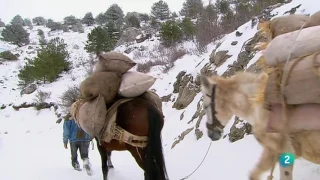 Tesoro del sur - Rumores y Escarchas (Invierno) [1/4]