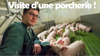 Visite de la porcherie ! Suivez-moi ! 🐷😉